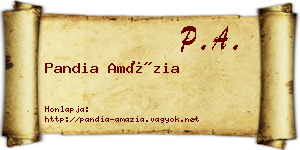 Pandia Amázia névjegykártya